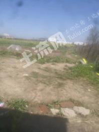 黄冈武穴市 10亩 旱地 经营权出租