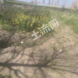 黄冈武穴市 10亩 旱地 经营权出租