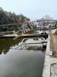 金华浦江县 30亩 农场 使用权出租