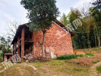 娄底涟源市 666平方米 农家庭院 使用权出租