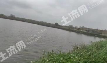 钦州钦南区 50亩 坑塘水面 经营权出租