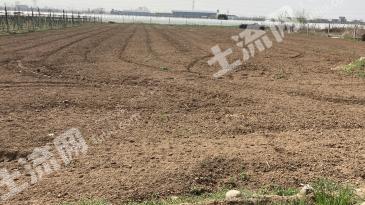 西安临潼区 6亩 水浇地 经营权出租