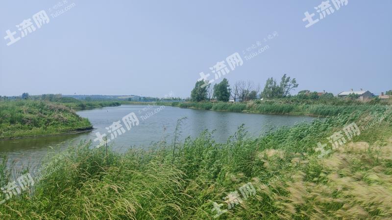 哈尔滨呼兰区 152.12亩 坑塘水面 经营权出租