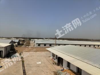 渭南蒲城县 62.16亩 农场 使用权转让