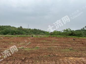 长沙天心区 68.81亩 仓储用地 使用权出租