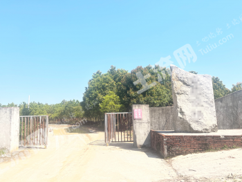 黄冈黄梅县 23.55亩 设施农用地 经营权出租