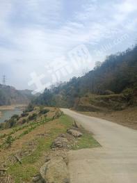 宜昌长阳土家族自治县 180亩 旱地 经营权出租