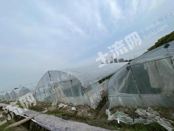嘉兴海宁市大棚、水田经营权转让