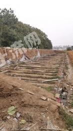 潍坊寿光市 4亩 水浇地 经营权出租  大棚地  麦田