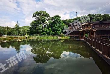 杭州萧山区101.4亩农场使用权出租