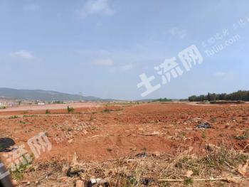 曲靖沾益区 171.51亩 果园 经营权出租