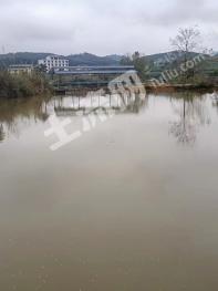 南宁兴宁区 16.52亩 其它园地 经营权转包