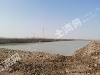 滨州沾化区 250.01亩 坑塘水面 经营权出租