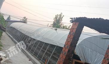 枣庄峄城区 800平方米 农村宅基地 使用权出租