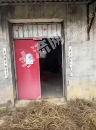 棗莊滕州市 400平方米 農(nóng)村宅基地 使用權(quán)出租