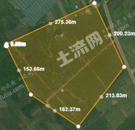 百色平果县 100.2亩 旱地 经营权出租