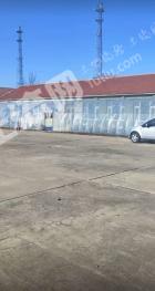 枣庄市中区 36.77亩 农场 使用权出租