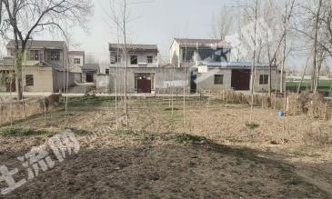 枣庄薛城区 336平方米 农村宅基地 使用权出租