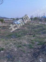 淄博临淄区3亩园地-果园经营权出租