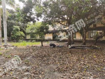 海南屯昌县 200亩 工业用地 使用权转让