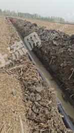 喀什疏附县 480亩 水浇地 经营权出租