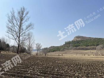 哈尔滨阿城区 72亩 其它林地 经营权转让
