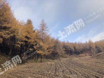 沈阳浑南区 60.26亩 空闲地 使用权转让