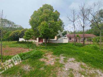 荊門沙洋縣 20畝 農(nóng)村宅基地 使用權(quán)出租