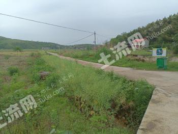 永州祁阳县 1400亩 旱地 经营权出租