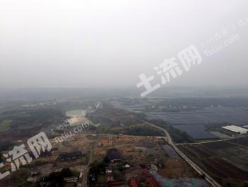 荆门沙洋县 100亩 乔木林地 经营权出租