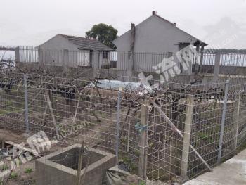 上海浦东新区 500平方米 农村宅基地 使用权合作