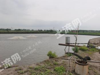 沈阳沈北新区 50亩 坑塘水面 经营权出租