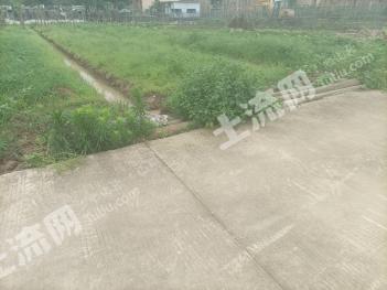 广州南沙区 6.8亩 水田 经营权出租