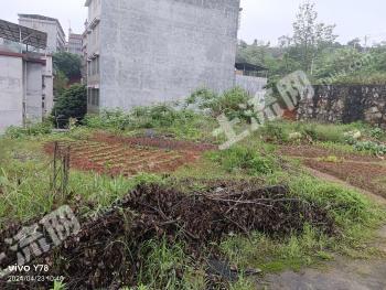 郴州桂阳县 165平方米 农村宅基地 使用权转让