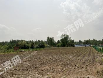 長春雙陽區(qū) 10.24畝 農村宅基地 使用權出租