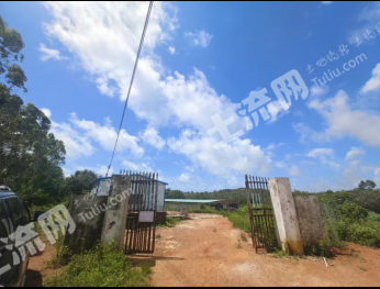 阳江阳东区 16亩 设施农用地 经营权转让