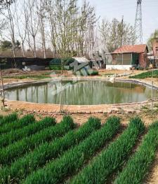 泰安泰山区 2亩 果园 经营权出租