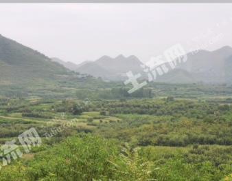 保定易县 30亩 荒山 先开发后利用