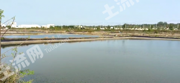 北海合浦县 60亩 沿海滩涂 使用权出租