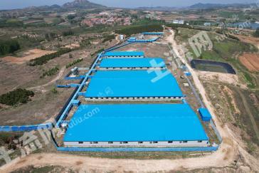 烟台莱州市 360.04亩 设施农用地 经营权出租