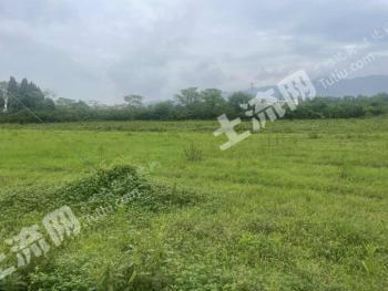 吉安青原区 600亩 旱地 经营权出租