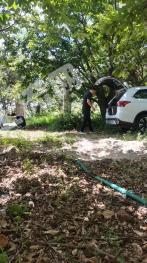 大理洱源县 42.19亩 其它林地 经营权转让