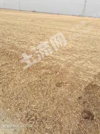 张家口张北县 40000亩 旱地 经营权出租