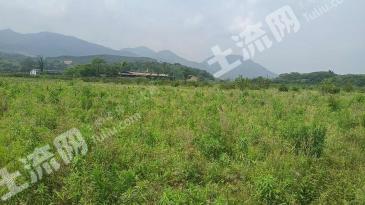 吉安安福县 300亩 水田 经营权出租