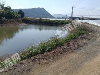 肇庆高要区 6亩 水浇地 经营权出租