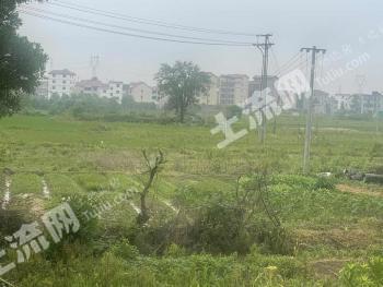 吉安吉安县 220亩 旱地 经营权出租