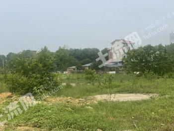 吉安吉安县 100亩 水田 经营权出租