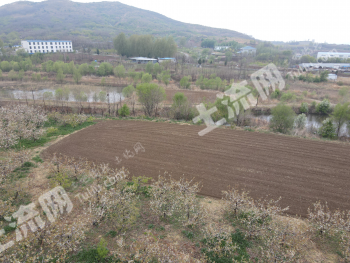 营口大石桥市 23.77亩 旱地 经营权出租