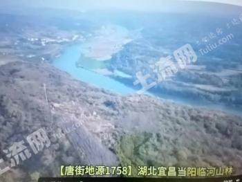 宜昌当阳市 328亩 其它林地 经营权出租