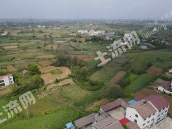 荆门钟祥市 8300亩 水田 经营权出租